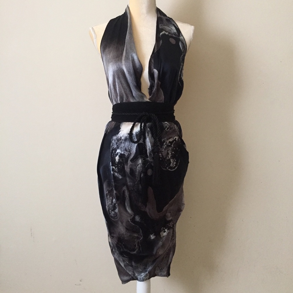 Psp11 Silk Deep Plunge Print Dress NWT